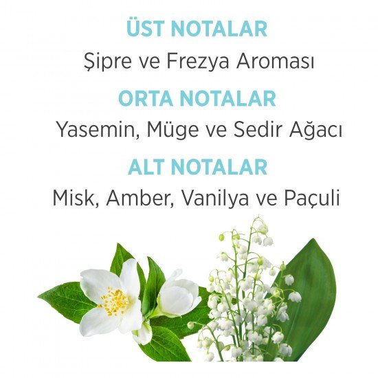Emotion Ocean Fresh EDT Kadın Parfüm 50 ml & Deodorant 150 Ml Emotion Ocean Fresh EDT Kadın Parfüm 50 ml & Deodorant 150 Ml