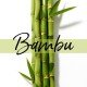 Pantene Saç Kremi Miracles Bambu & Biotin Uzun ve Güçlü 275 Ml