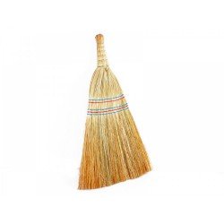 Çalı El Süpürgesi Çalı El Süpürgesi