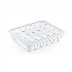 Hobby Life 30'lu Yumurta Saklama Kabı