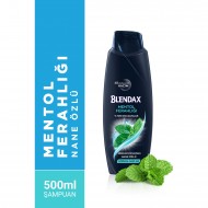 Blendax Erkek Mentol Ferahlığı Şampuan 500 ml