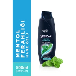 Blendax Erkek Mentol Ferahlığı Şampuan 500 ml Blendax Erkek Mentol Ferahlığı Şampuan 500 ml