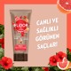 Elidor Tüp Saç Bakım Kremi Sağlıklı ve Canlı Görünen Saçlar By Afra Saraçoğlu 170 Ml