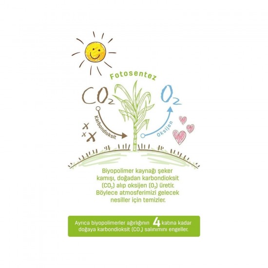 Sleepy Bio Natural Bebek Bezi 2 Numara Mini 204lü