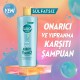 Elidor Collagen Blends Sülfatsız Saç Bakım Şampuanı Always Young Onarıcı ve Yıpranma Karşıtı 350 ml