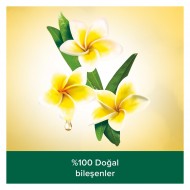 Palmolıve Dus Jelı 500ml Feel Good Palmolıve Dus Jelı 500ml Feel Good