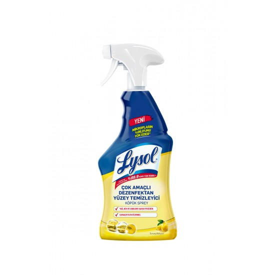 LYSOL COK AMACI YUZEY TEMIZLEYICI TURUN BAHCESI 750 ML