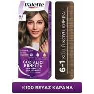 Palette Göz Alıcı Renkler 6-1 Küllü Koyu Kumral Saç Boyası