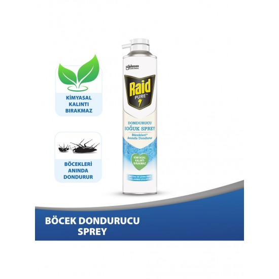 Raid Pure Böcek Dondurucu Sprey 350 ml Raid Pure Böcek Dondurucu Sprey 350 ml