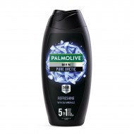Palmolive Men Pure Arctic Duş Jeli 5i1 Arada 500 Ml