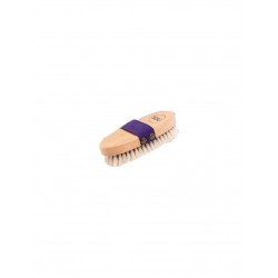 Sesu At Kılı Fırça