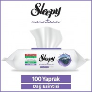 Sleepy Yüzey Temizlik Havlusu Dağ Esintisi 100'lü