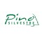 Pino Silvestre